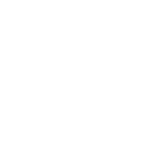 sooulwork-favicon-white